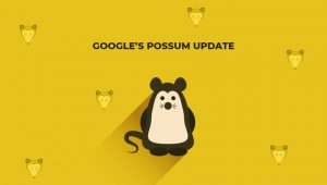 Google Possum Update