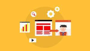 Google Fred Update