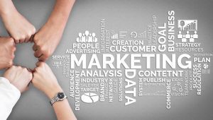 Reasons why your Business needs Digital Marketing agency
