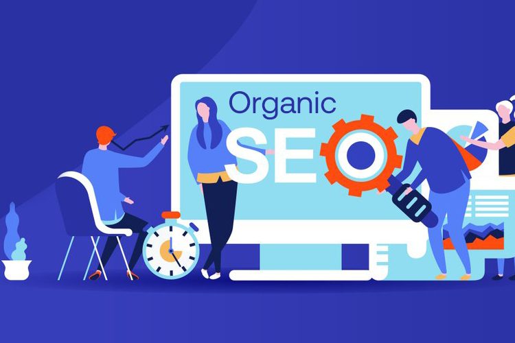 Organic SEO